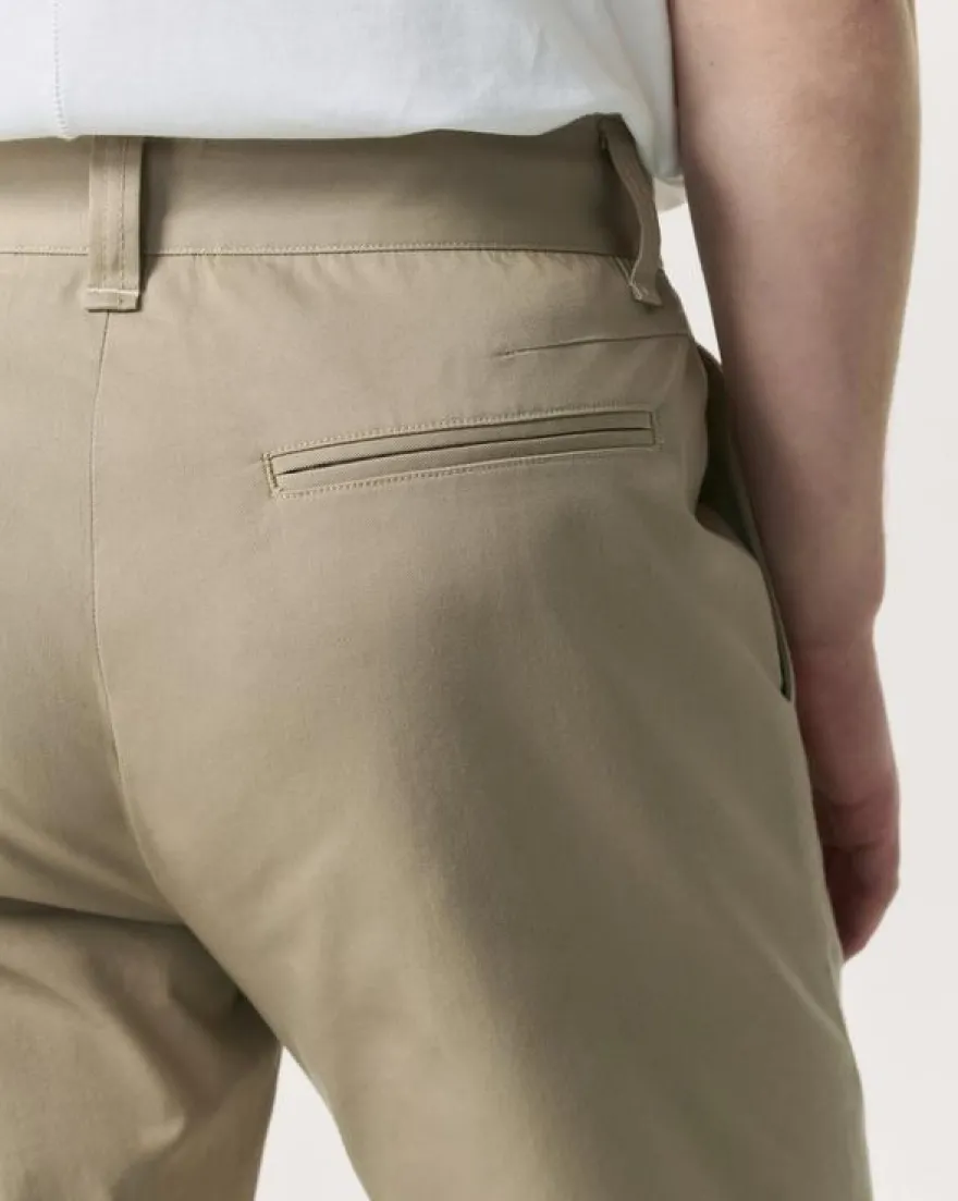 Haydon Straight Fit Cotton Chino Pants
